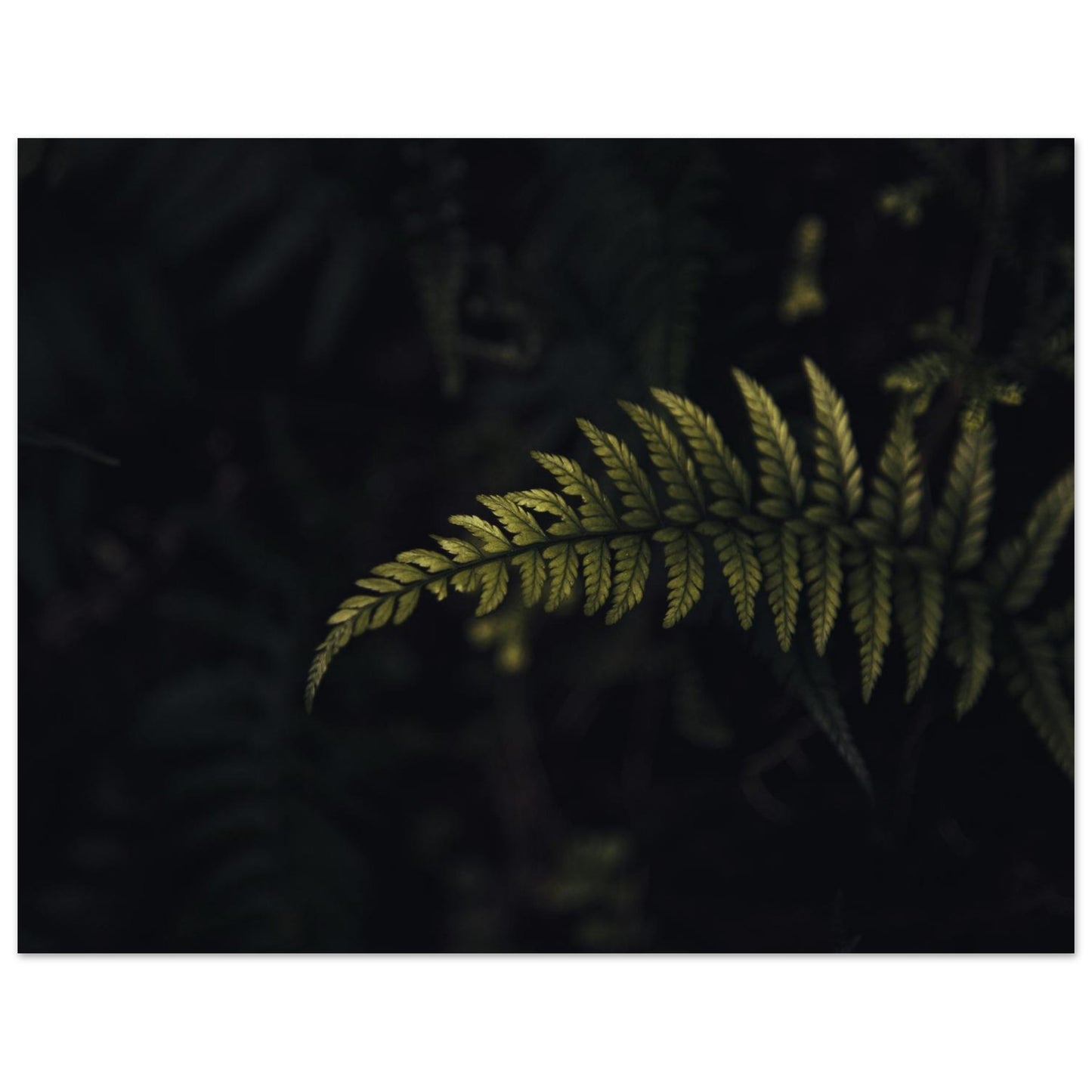 06bcd0f6-a410-4b82-b130-6050e9e4b54d