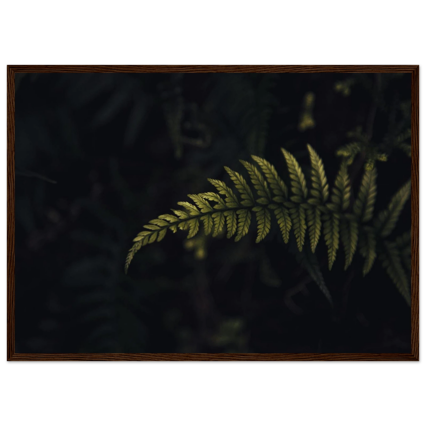 2bb5409d-8721-4ad0-a259-5c496ef44b0d
