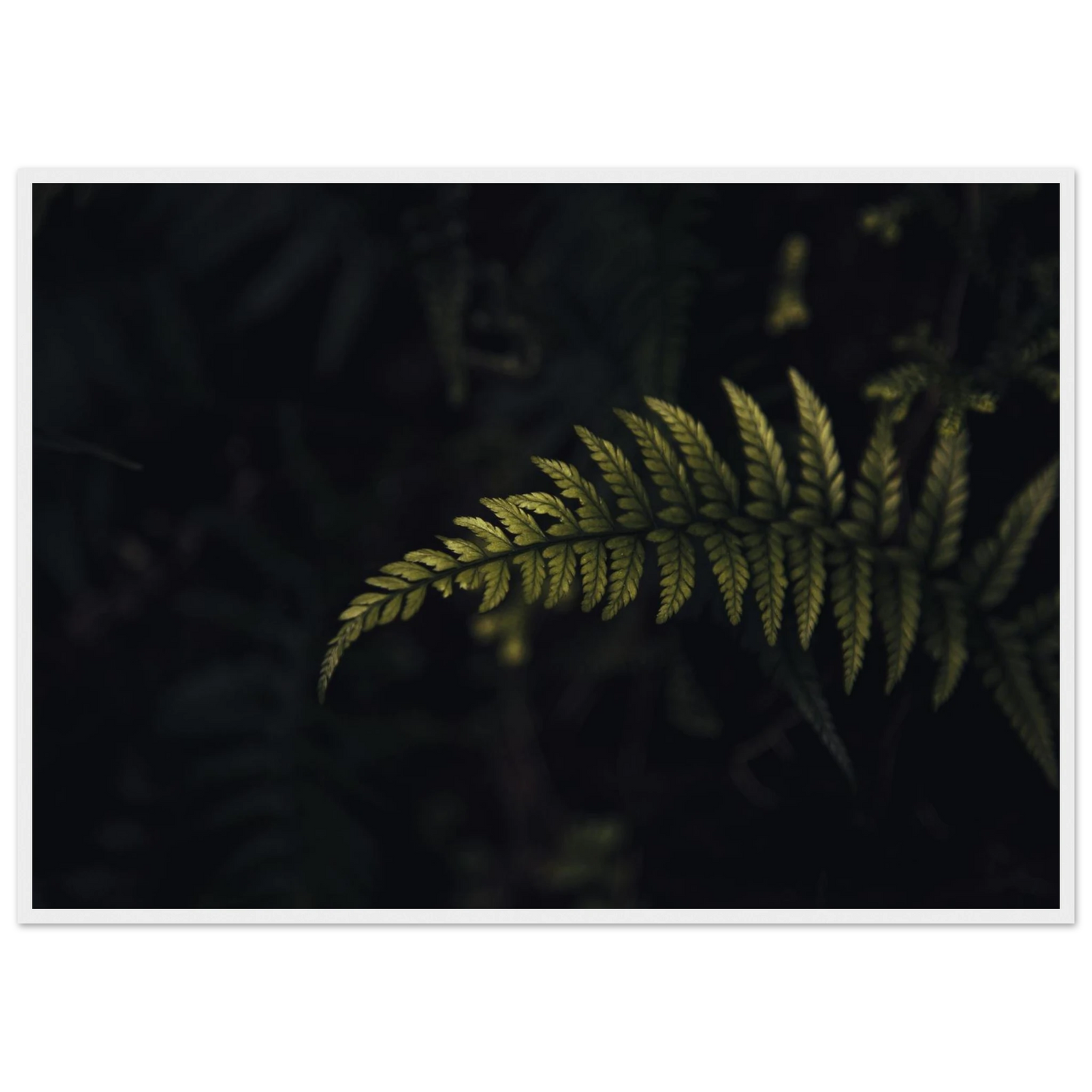 6d43ac3d-c486-41d5-b877-20d7272519a9