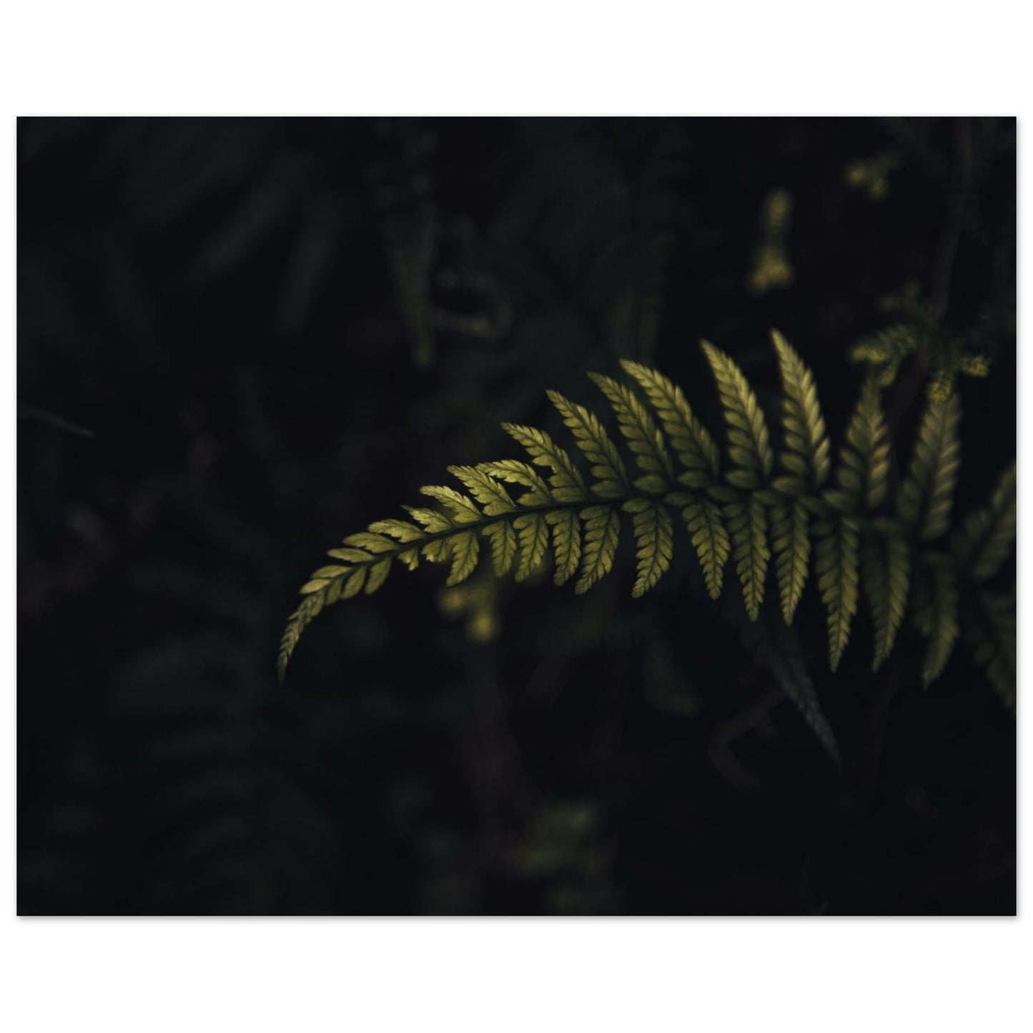 fa660634-a680-4c4d-a306-cb697dc44485