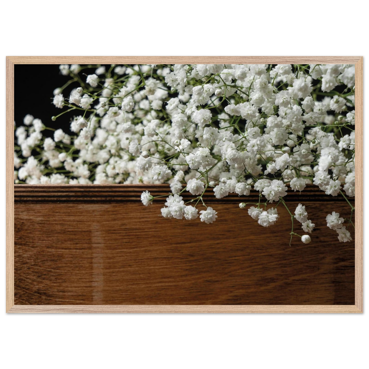 008c7eb9-85fd-4779-96ee-39b527ff7cb4