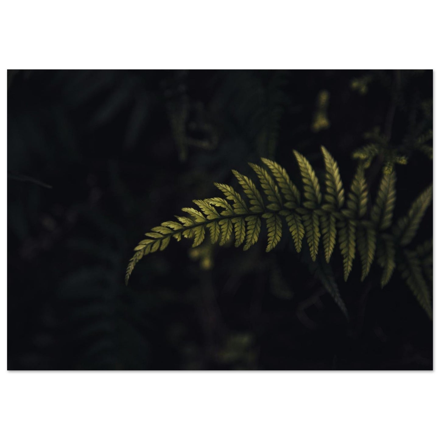 04b32a98-ebfd-46d4-a452-fd474480ae89