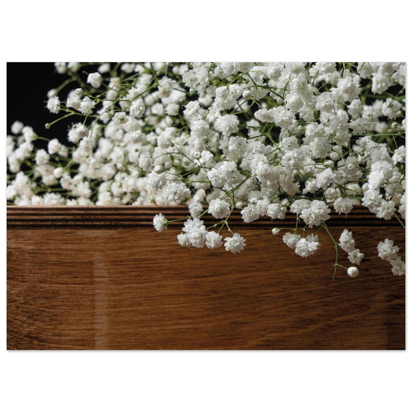 04bb23c7-0838-46fb-aae6-fa9801e65fa7