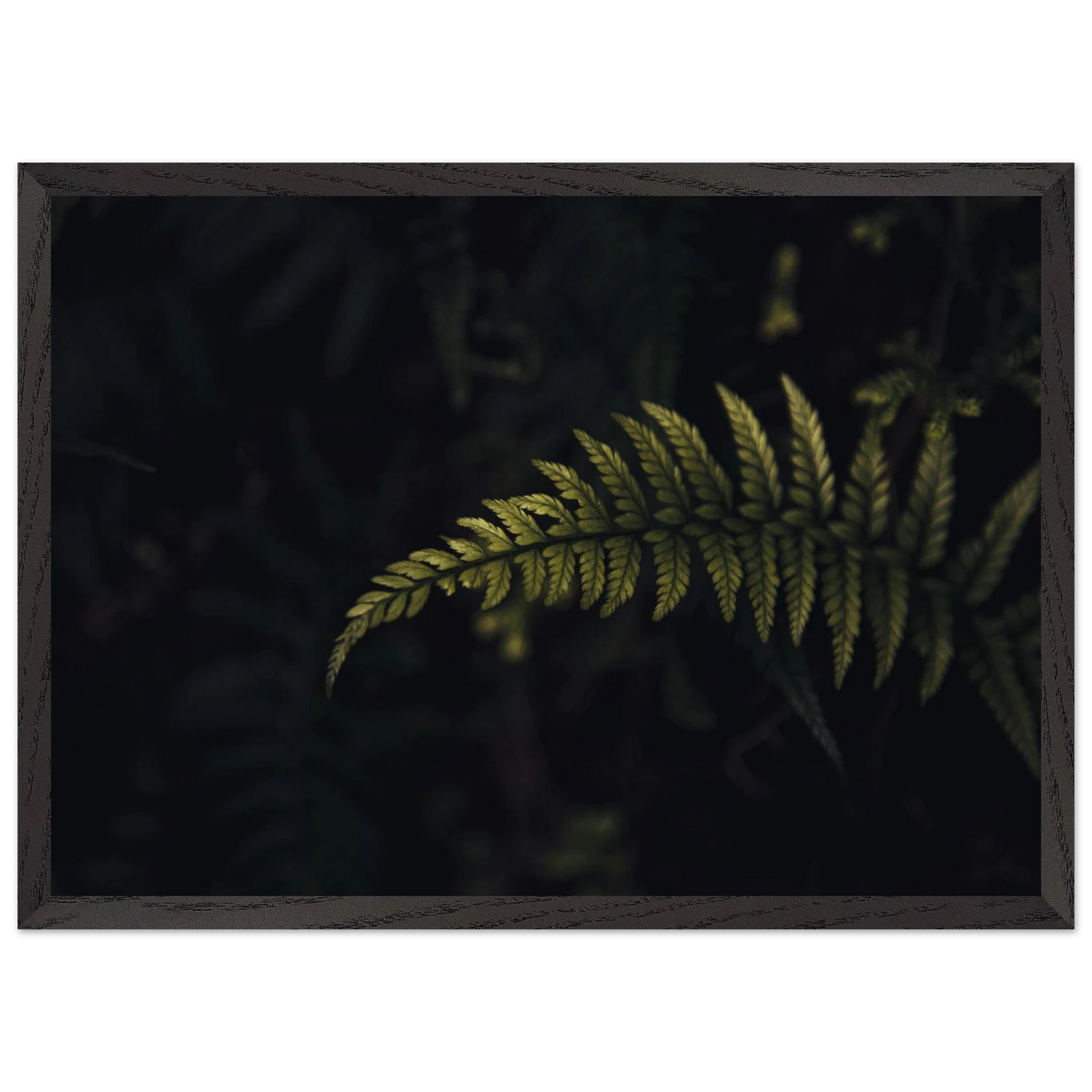 069581aa-9521-4fe5-8584-a2fc97b54dd7