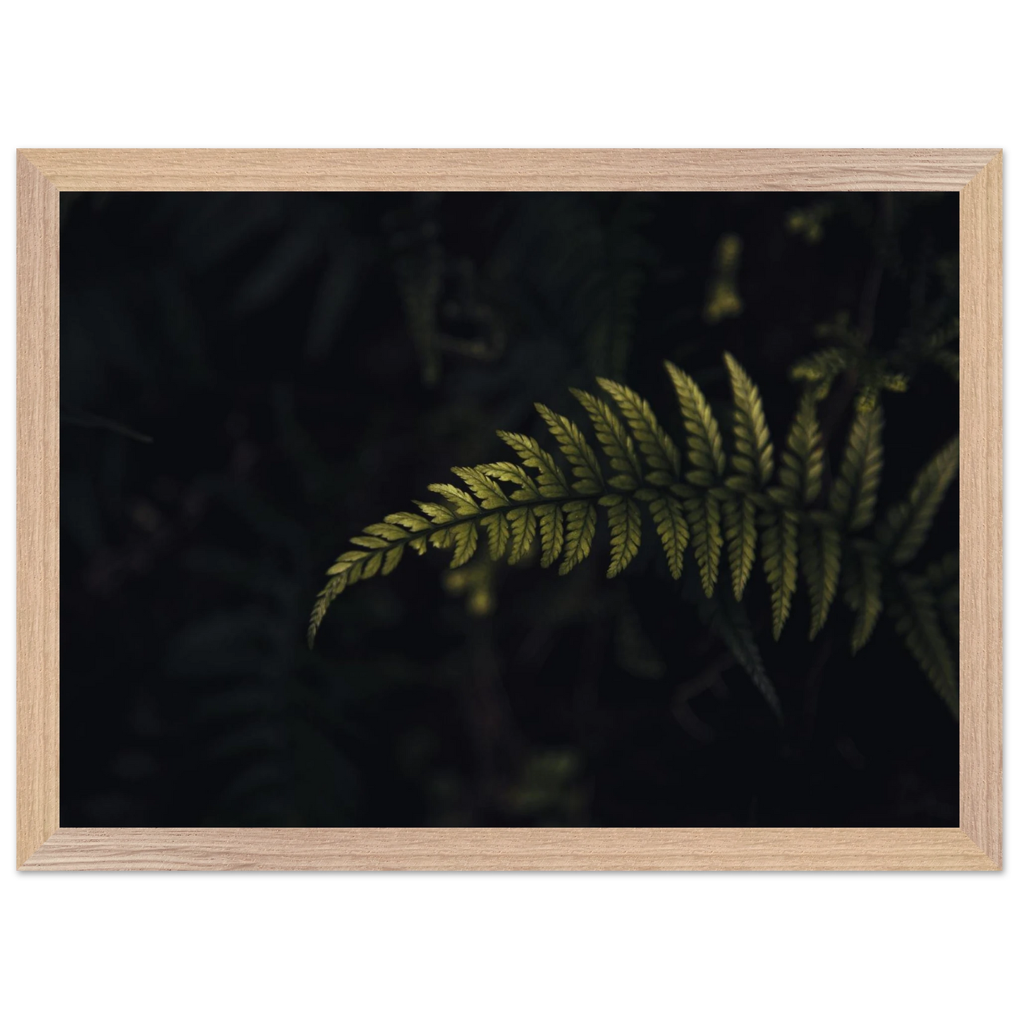 0b675340-361f-4ed5-98ce-0de2b0d0fa44