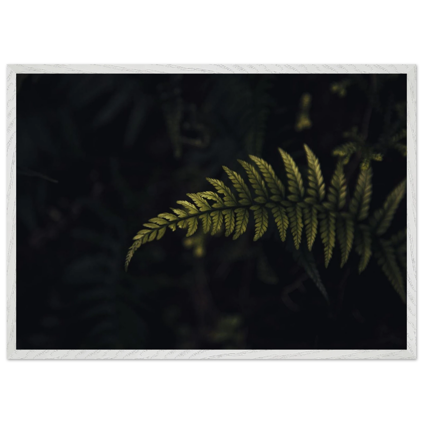 0bcf0fb5-992e-43da-9df0-6f56695d94c2