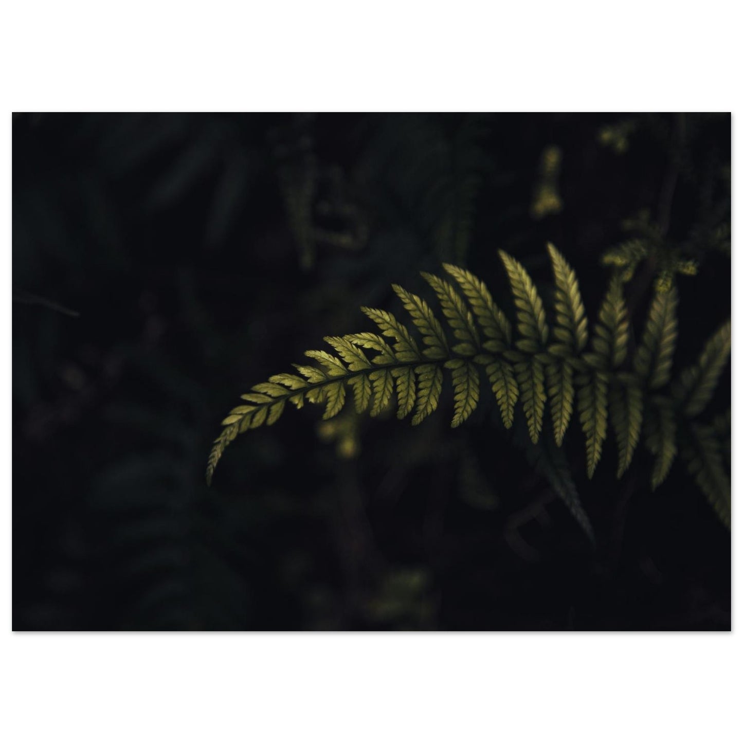 0be4d072-75ad-43a4-a22a-c4ce982fc3a3