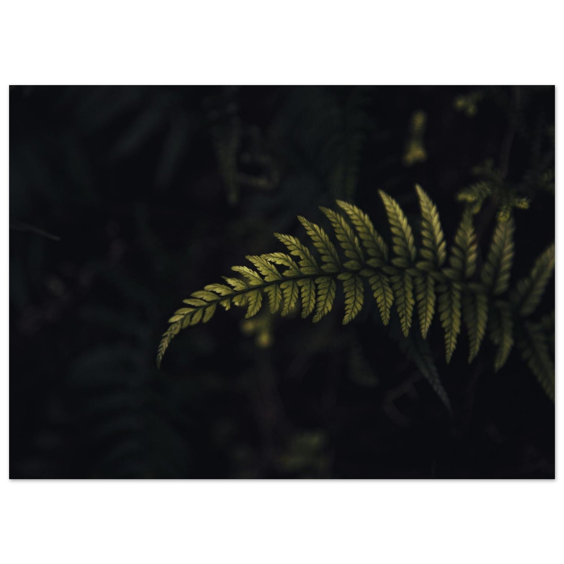 0be4d072-75ad-43a4-a22a-c4ce982fc3a3