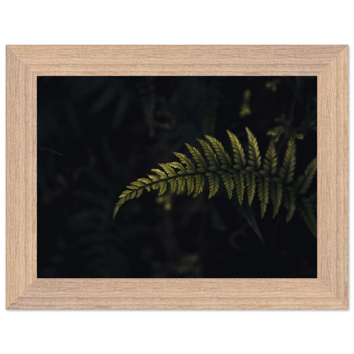 0cfc33b2-624e-46d2-b22b-6786535e82f0