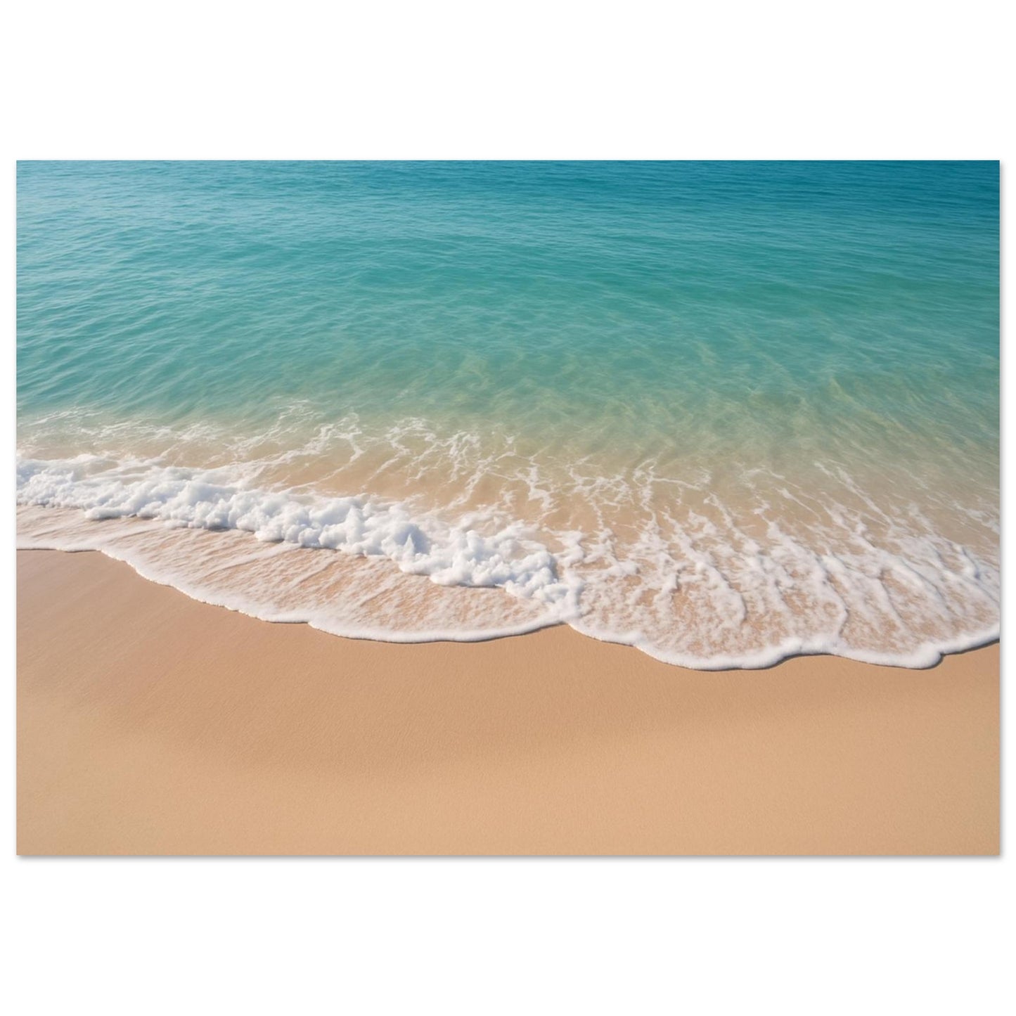 0fa363c1-ecad-4c53-8c1d-a0b770cd33a5