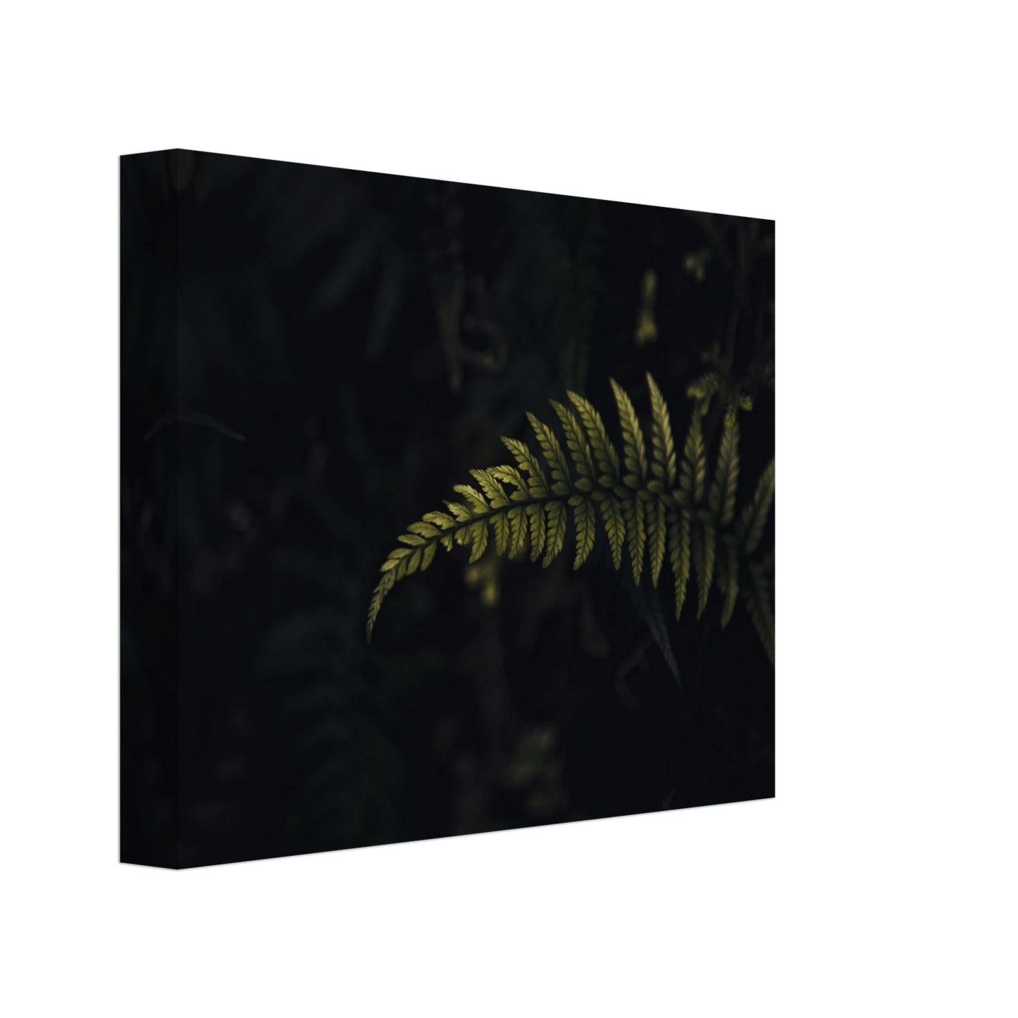 0fc17f52-d188-4f61-b9b4-513c1adbd174