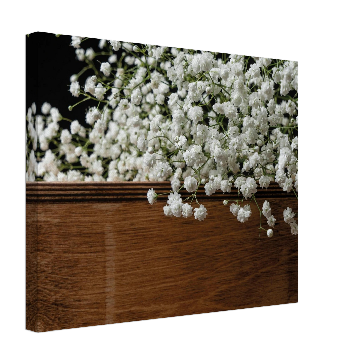 198dd829-8955-45fe-86b1-e5b06ce8ea60