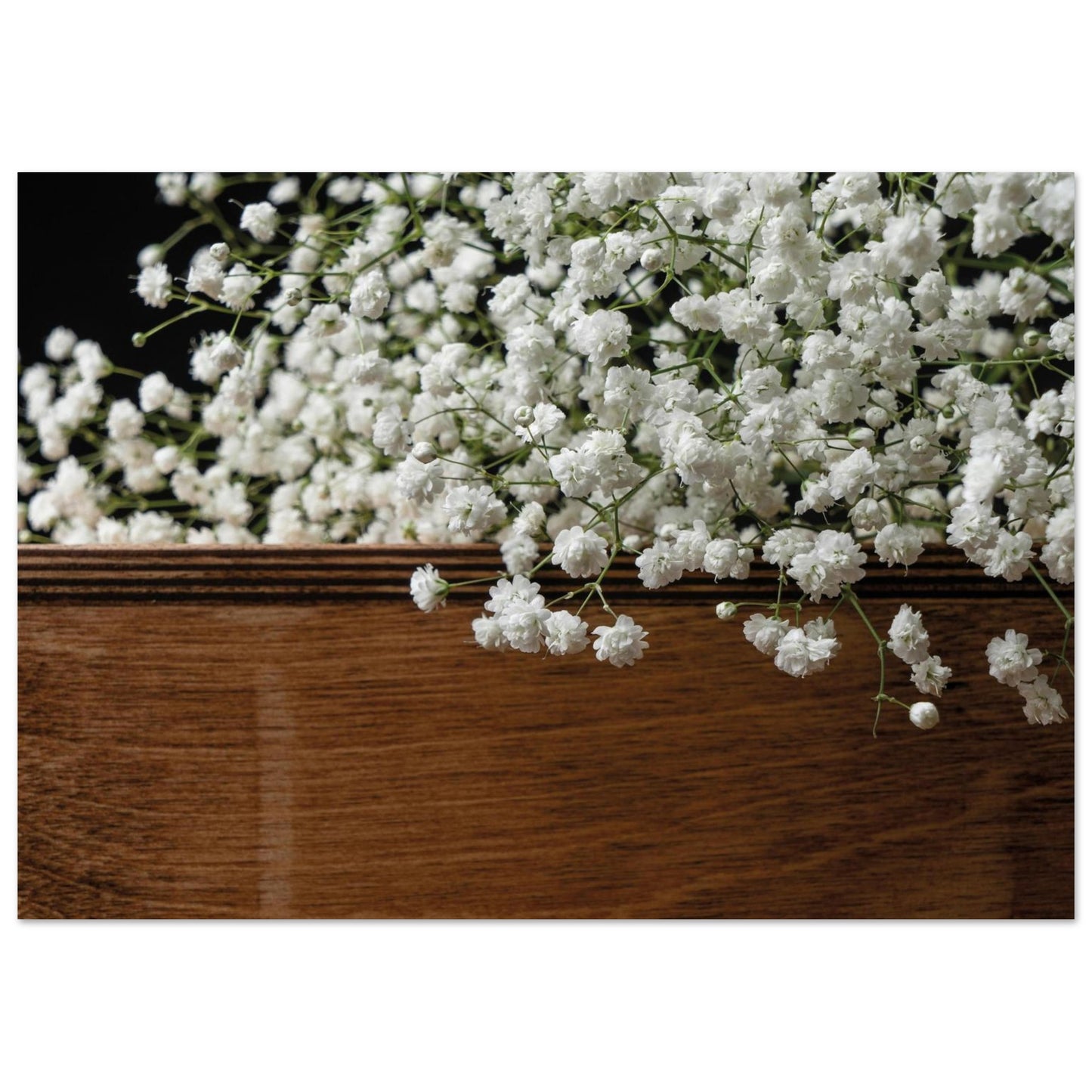 1da69046-4df6-4f49-af86-2ef7810f2947