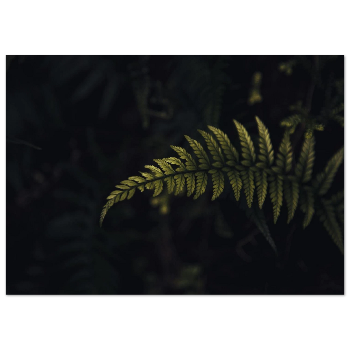 1f453ffb-b58c-4ea2-97bb-4bd516d4eb61