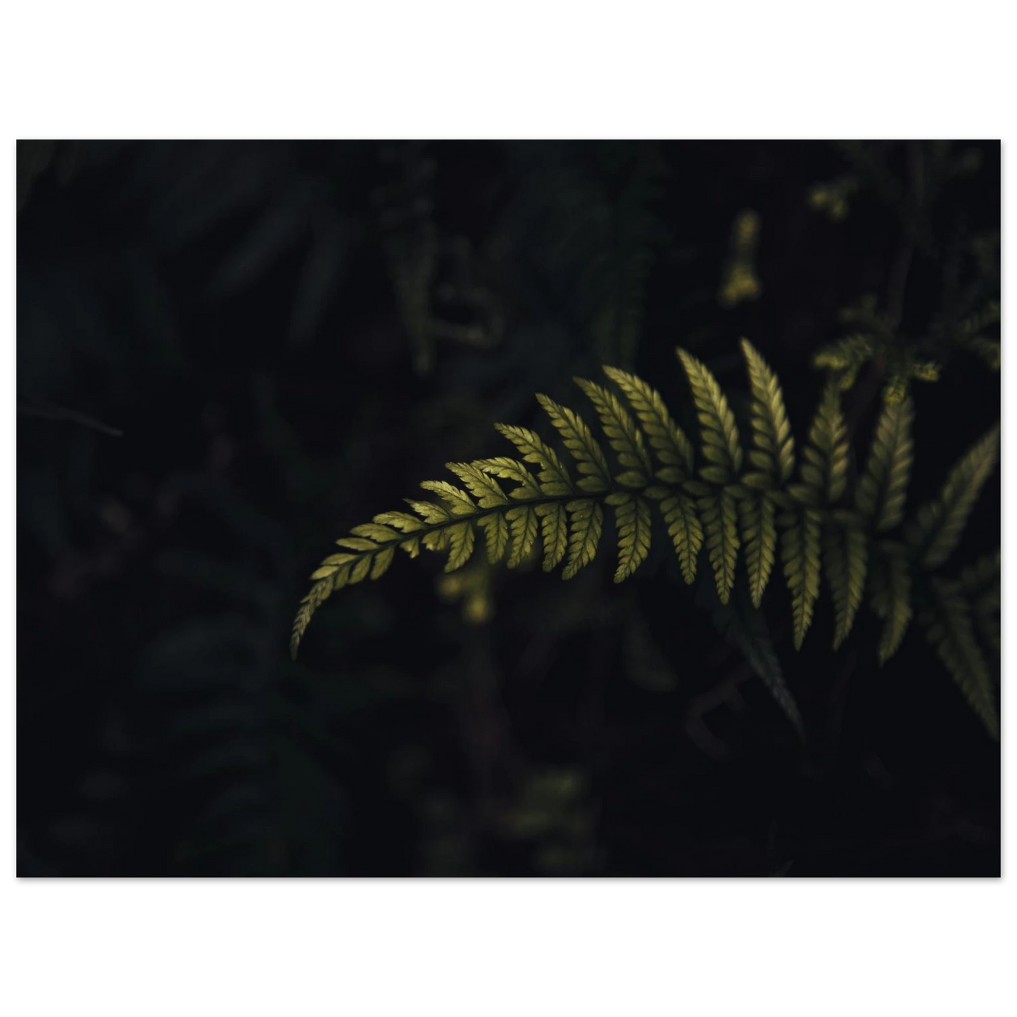 2f51da9e-1567-4a5e-a837-7ecd781b6439