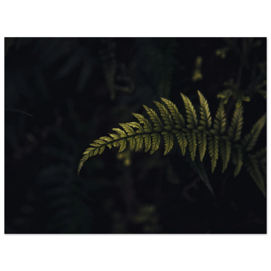 2f51da9e-1567-4a5e-a837-7ecd781b6439