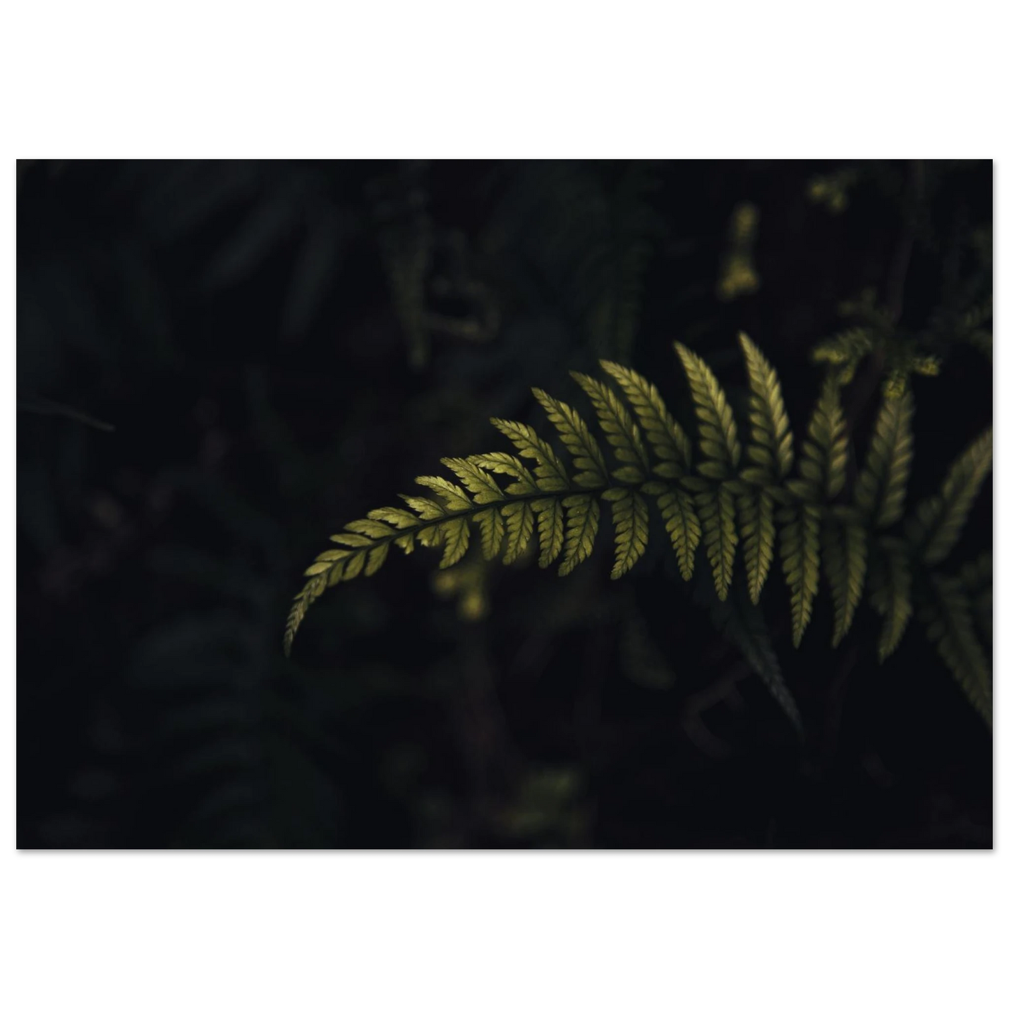 3a162792-76d3-4fa3-aaeb-3fd8d5c199d6