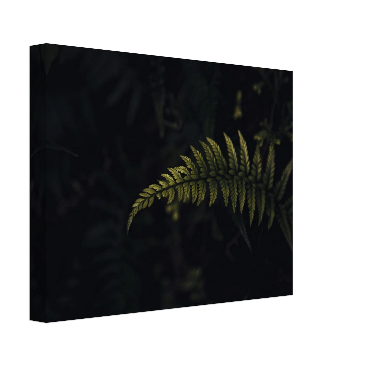 3a6e2086-efd2-4e99-a396-9569f7c404da