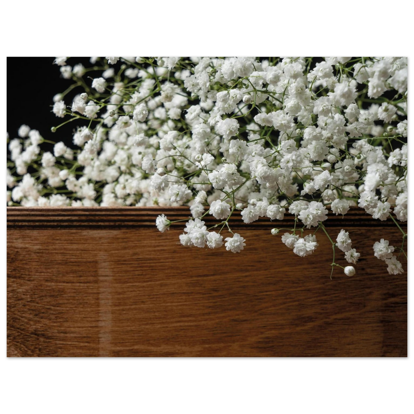 42f56538-6615-4ea7-93d4-b481552a54ec