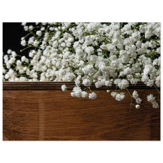 42f56538-6615-4ea7-93d4-b481552a54ec