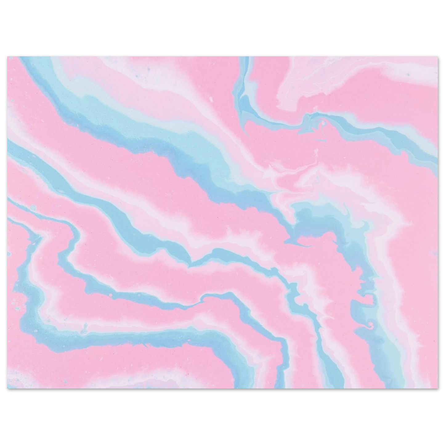 447e491e-773e-4563-b926-cf51c5eb7880