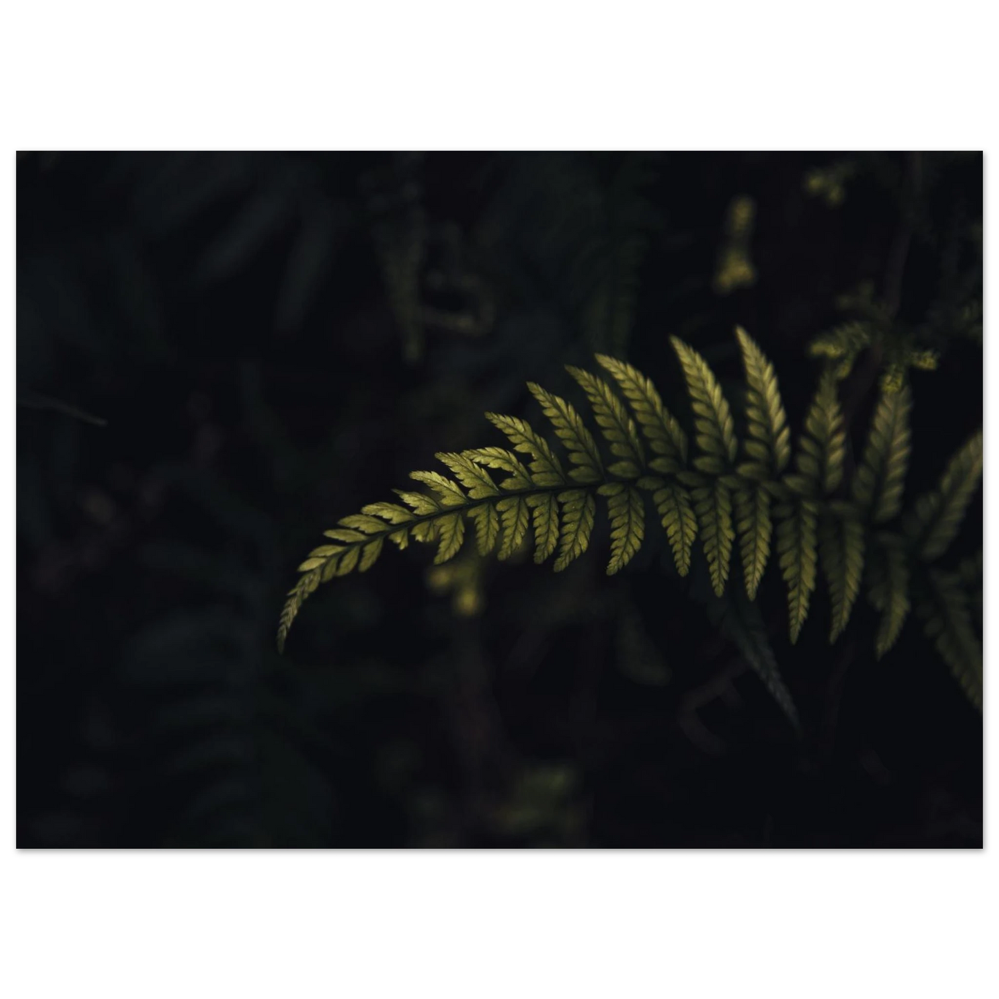 4b12ef56-8754-491b-b12b-854d631fd48a