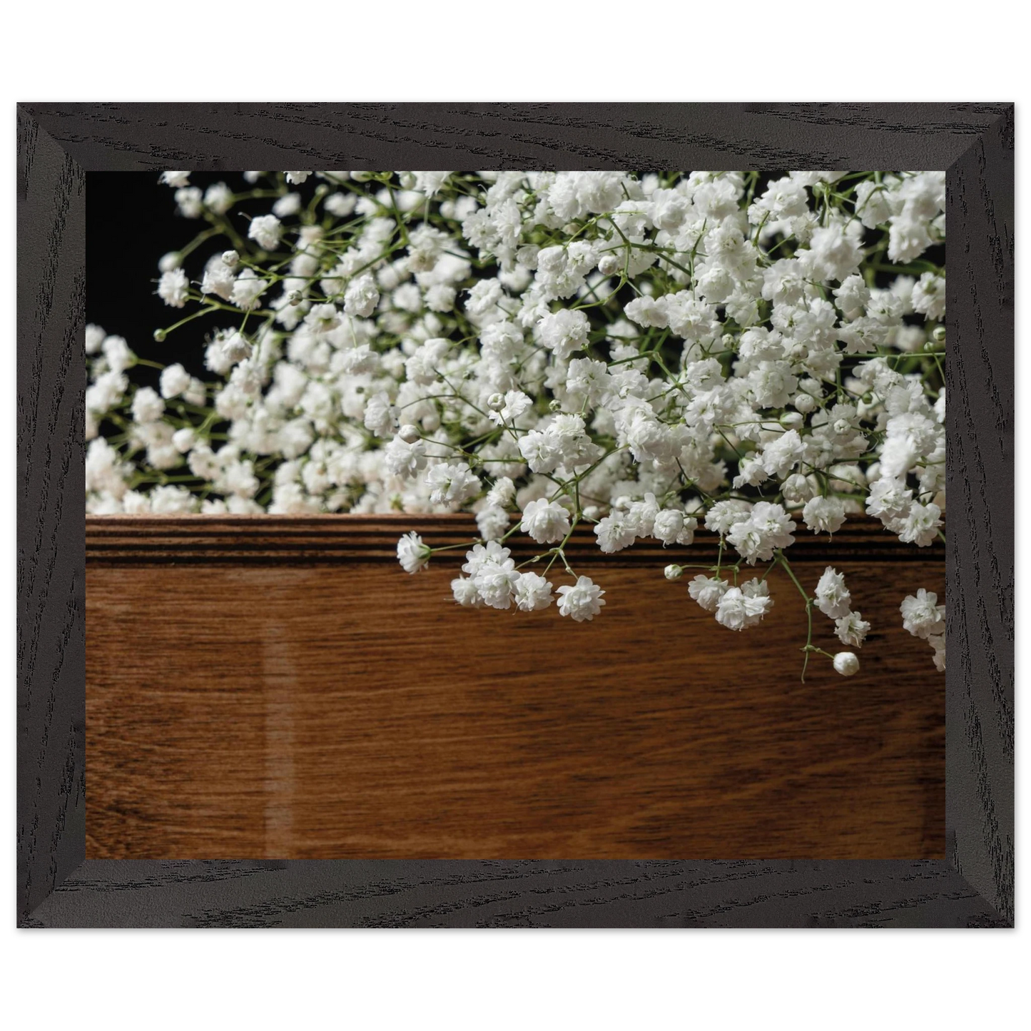 501c8248-3105-479b-81d0-56ef0fe5a3f6