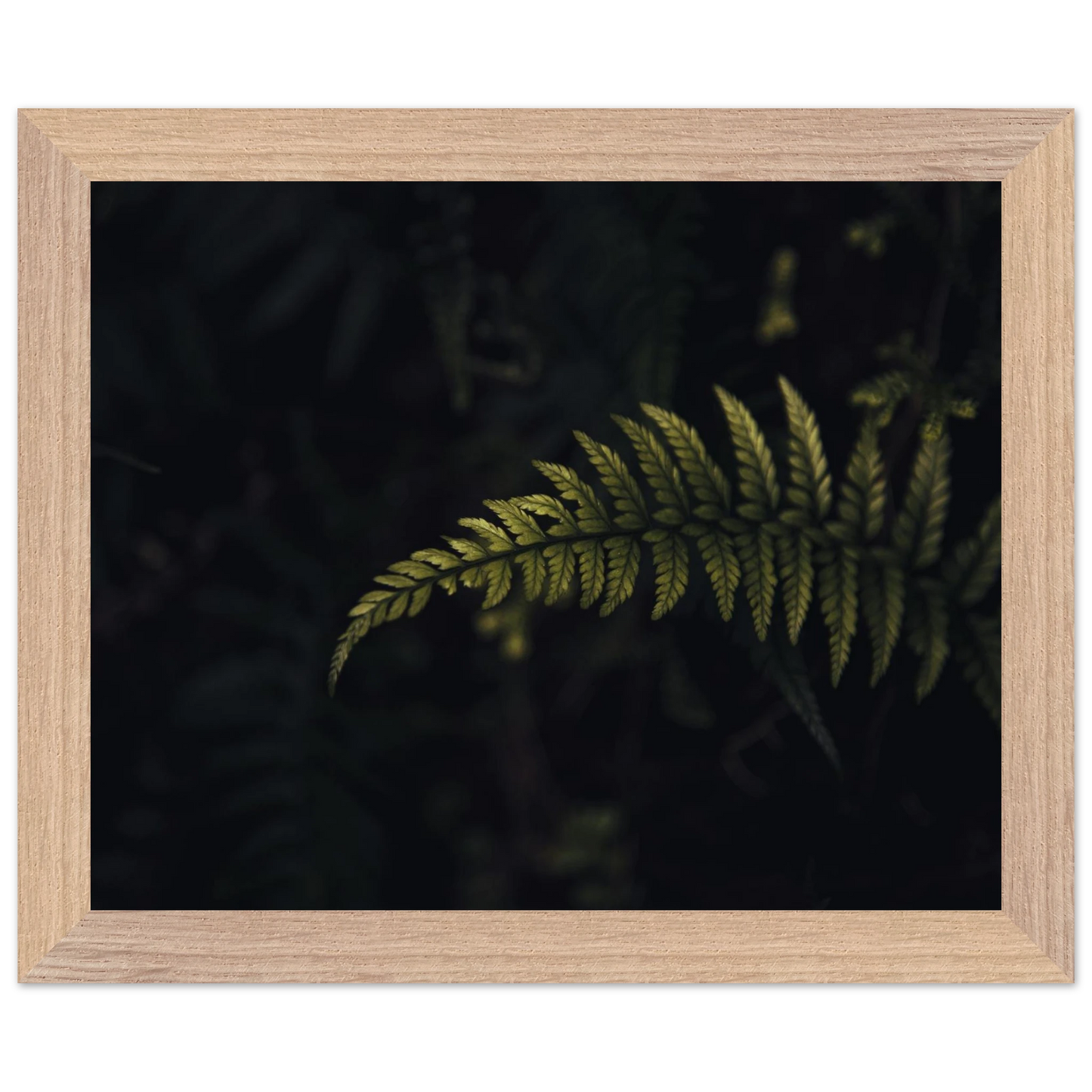 554279b6-58fb-4ca1-a3fe-292d680dc83b