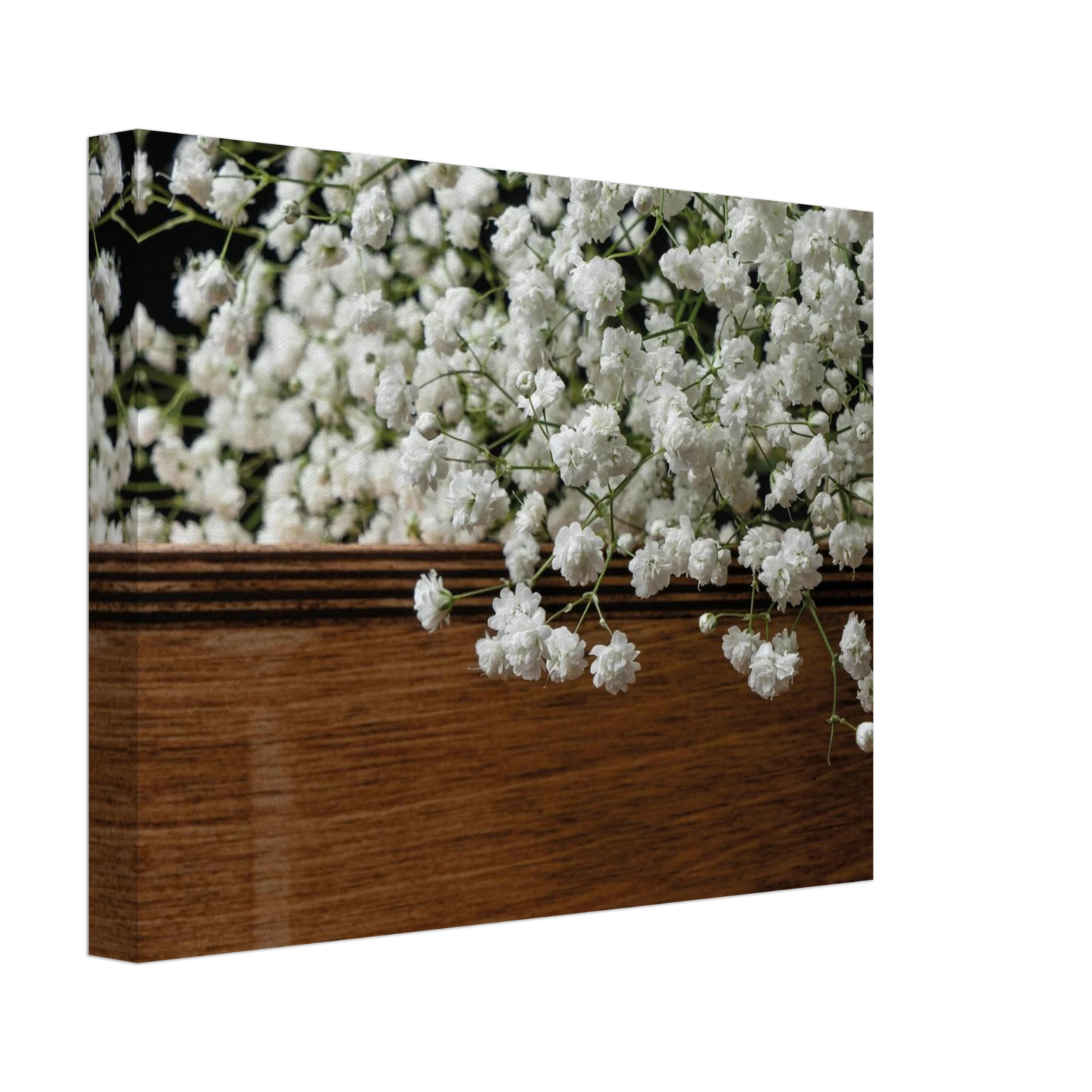 585252ff-cff7-411c-aedd-df369caa97d1