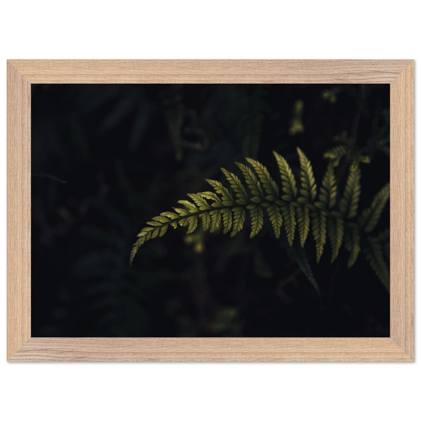 5aff6239-e6d9-4348-9770-de14b737cdef