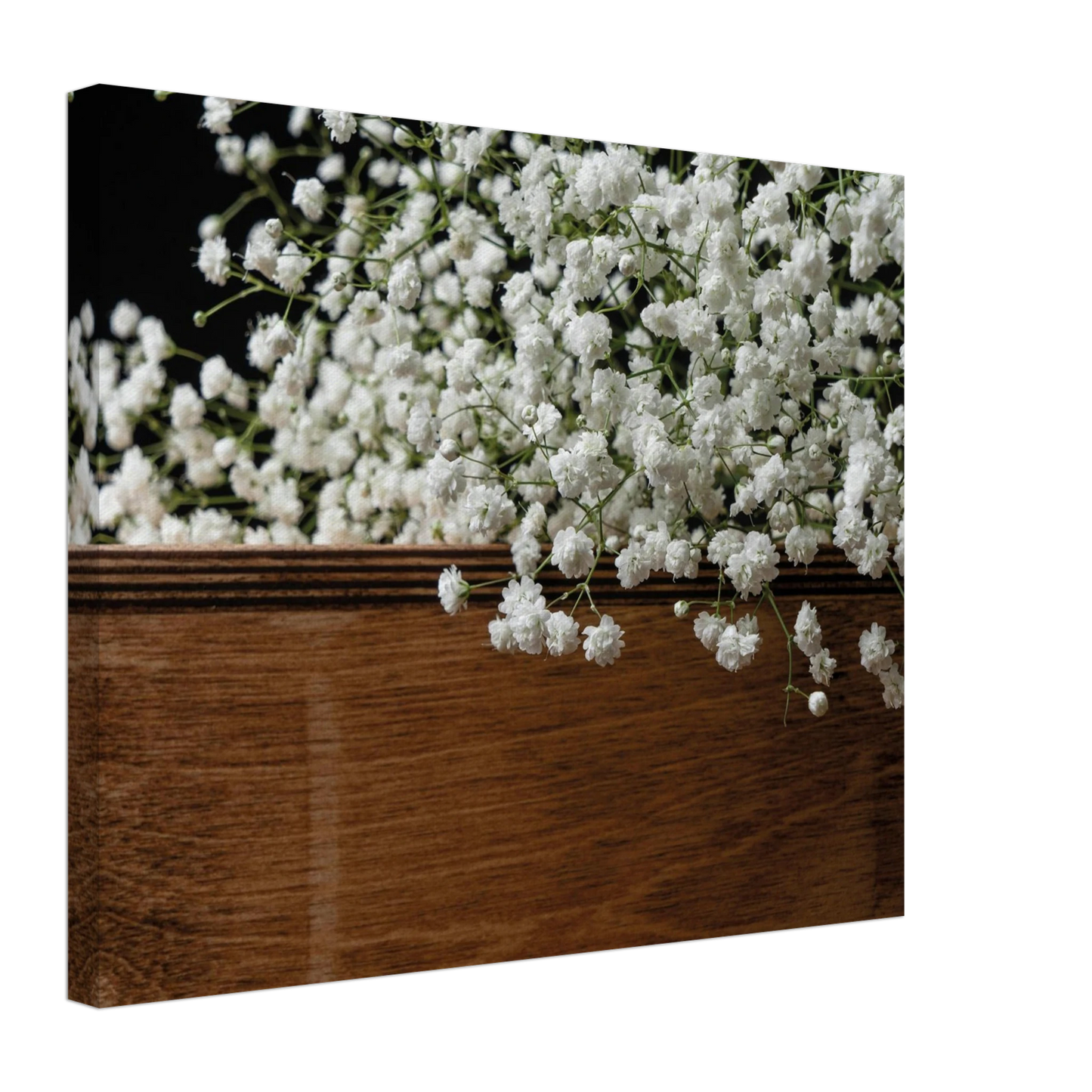 5baabd81-cae7-4985-ba89-8dfcd8c249d9