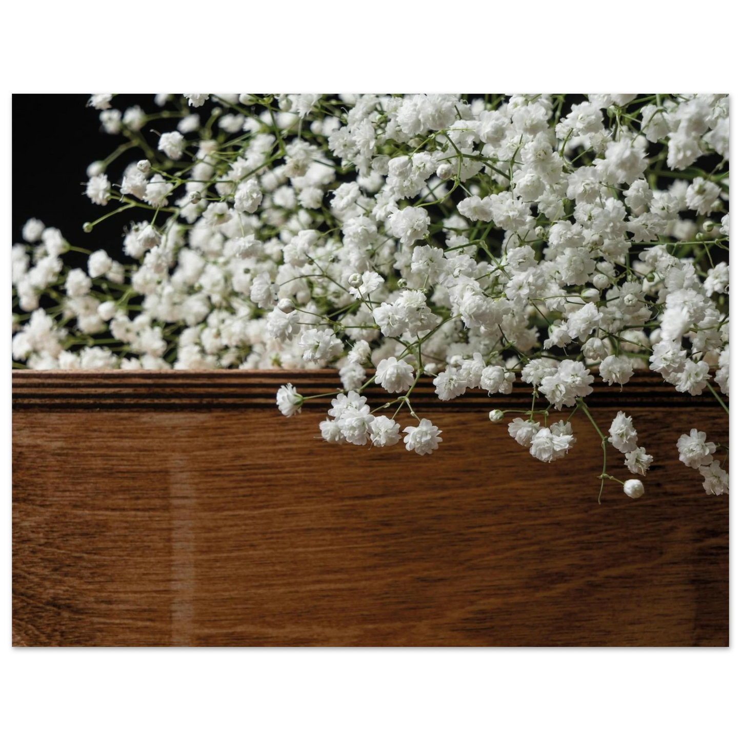 5db60ecb-1628-48e0-a12a-c7a68d53b321