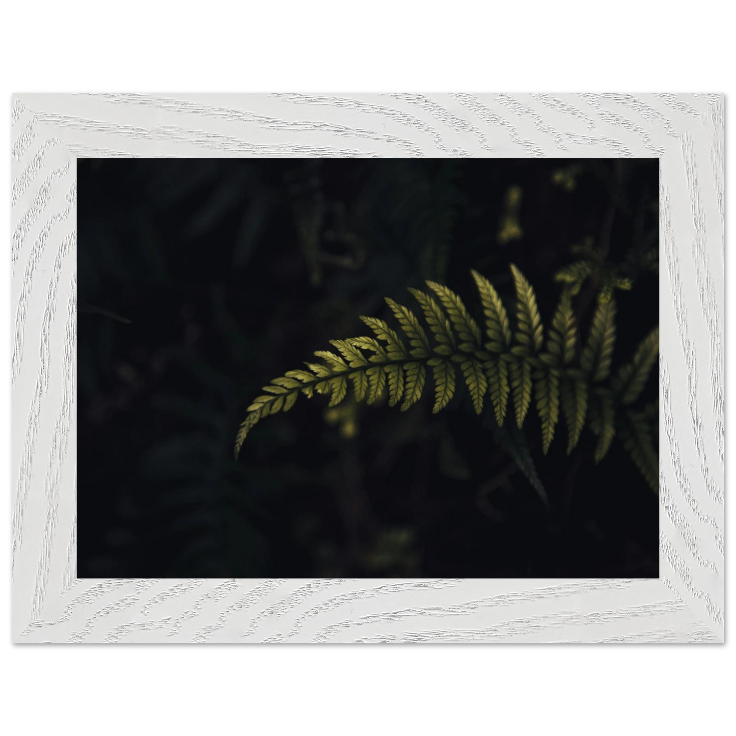 6209943e-929f-4d69-8b7d-f4f018b8d01a