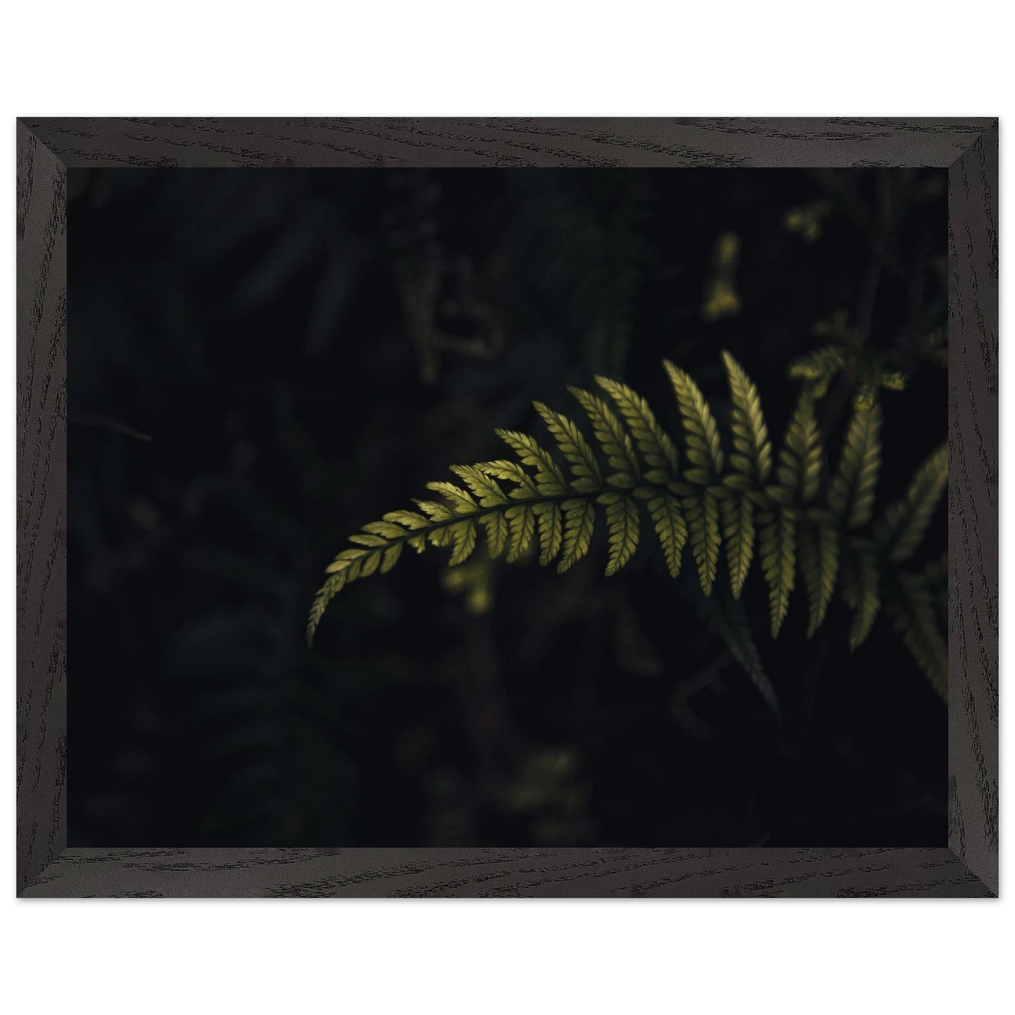 62eee64f-6195-4650-afdd-6483b69254f3