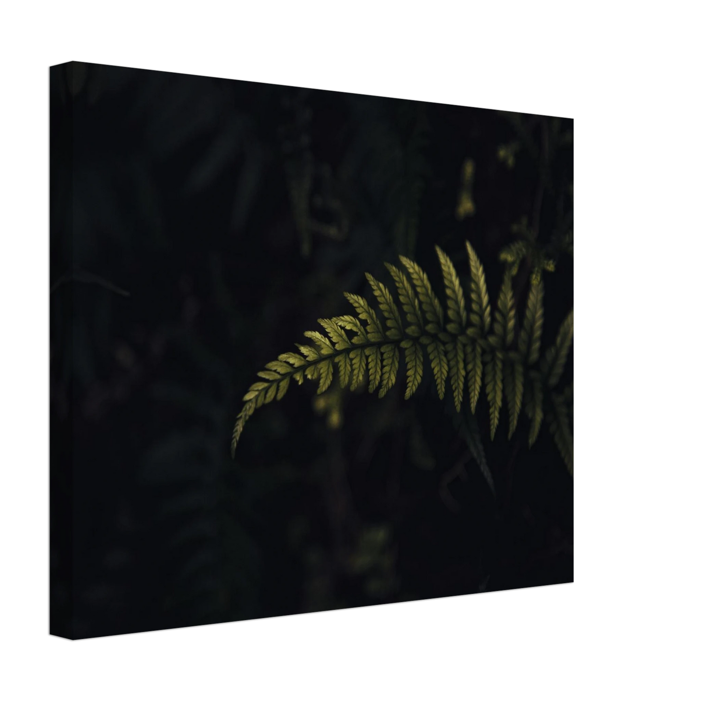 6a0511ac-6c6e-4ad2-8671-bdf03224afe1