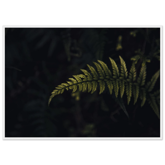 6d43ac3d-c486-41d5-b877-20d7272519a9