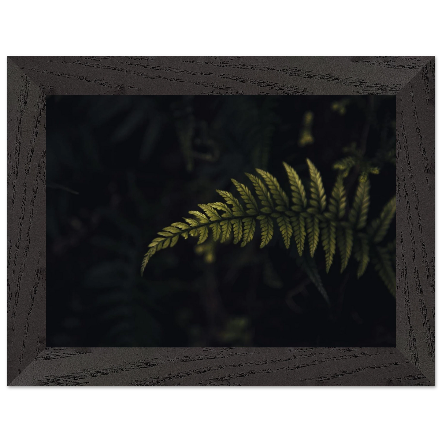 707a83cc-0694-4c28-984d-09b0c445641f