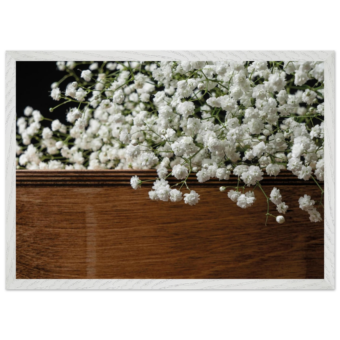 7532960d-4d89-4443-bb26-65a3f61e6ace