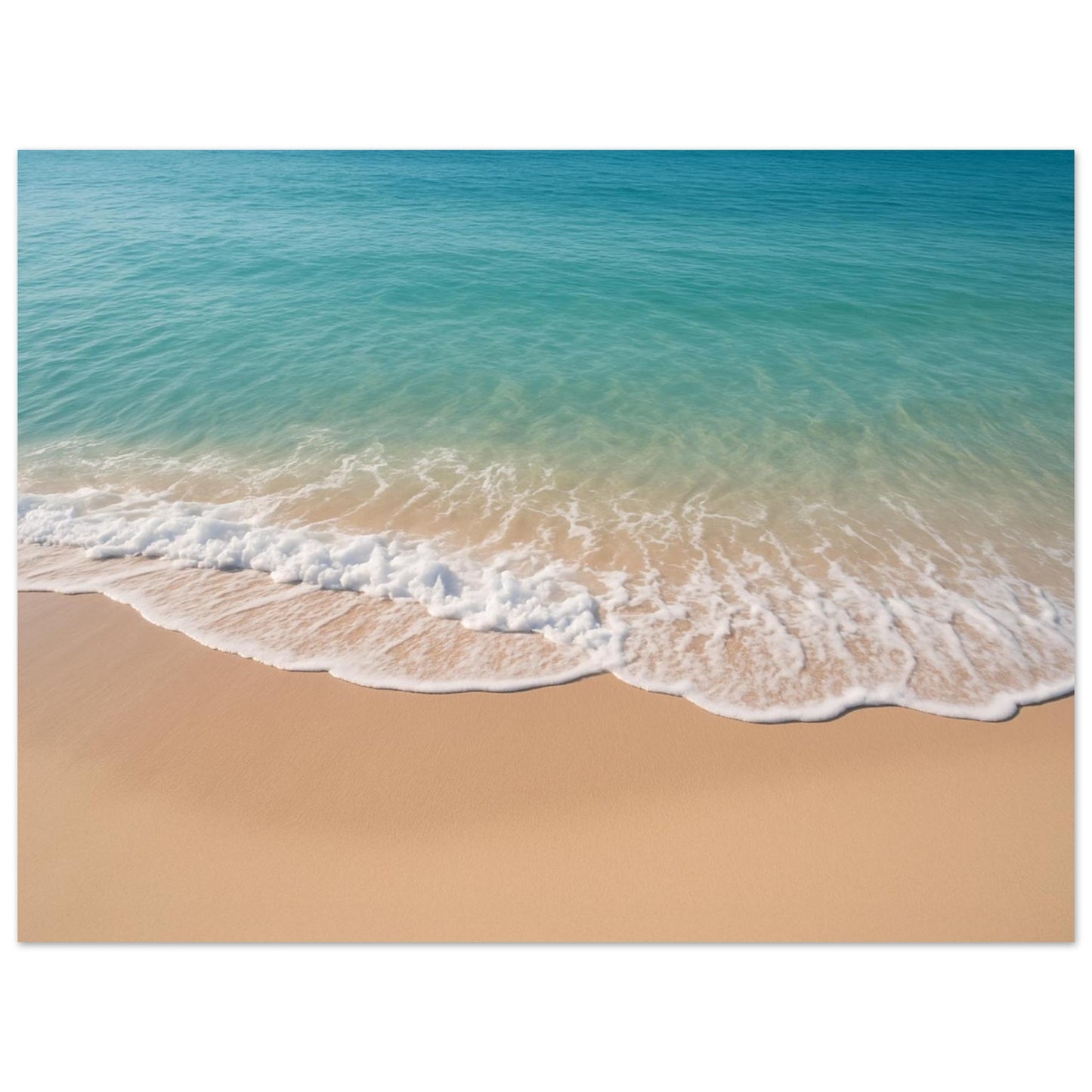 77f46ac7-65c5-4afc-8bbf-7825d361fe69