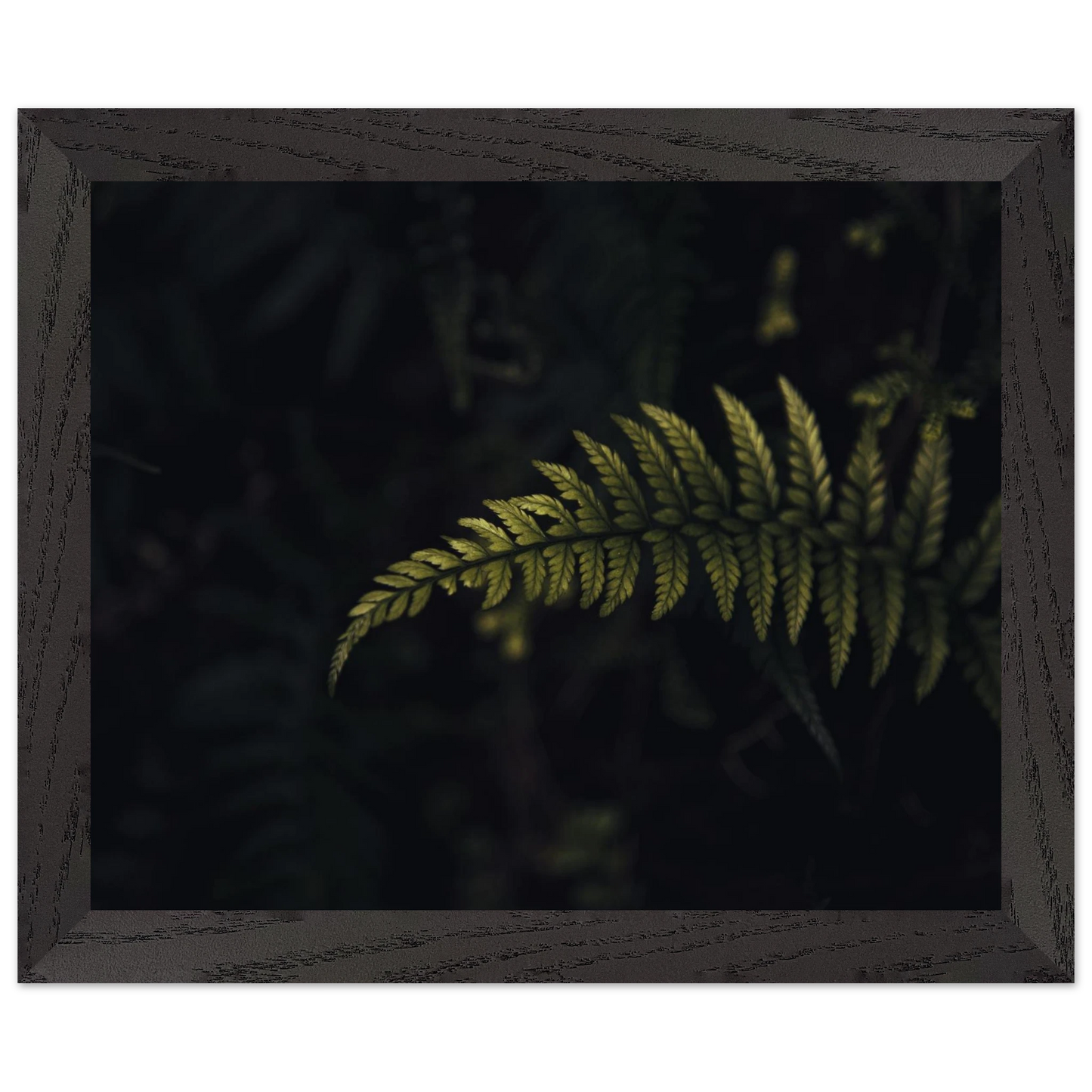 8108c5bc-6c4f-4210-99ff-c45c40563b67