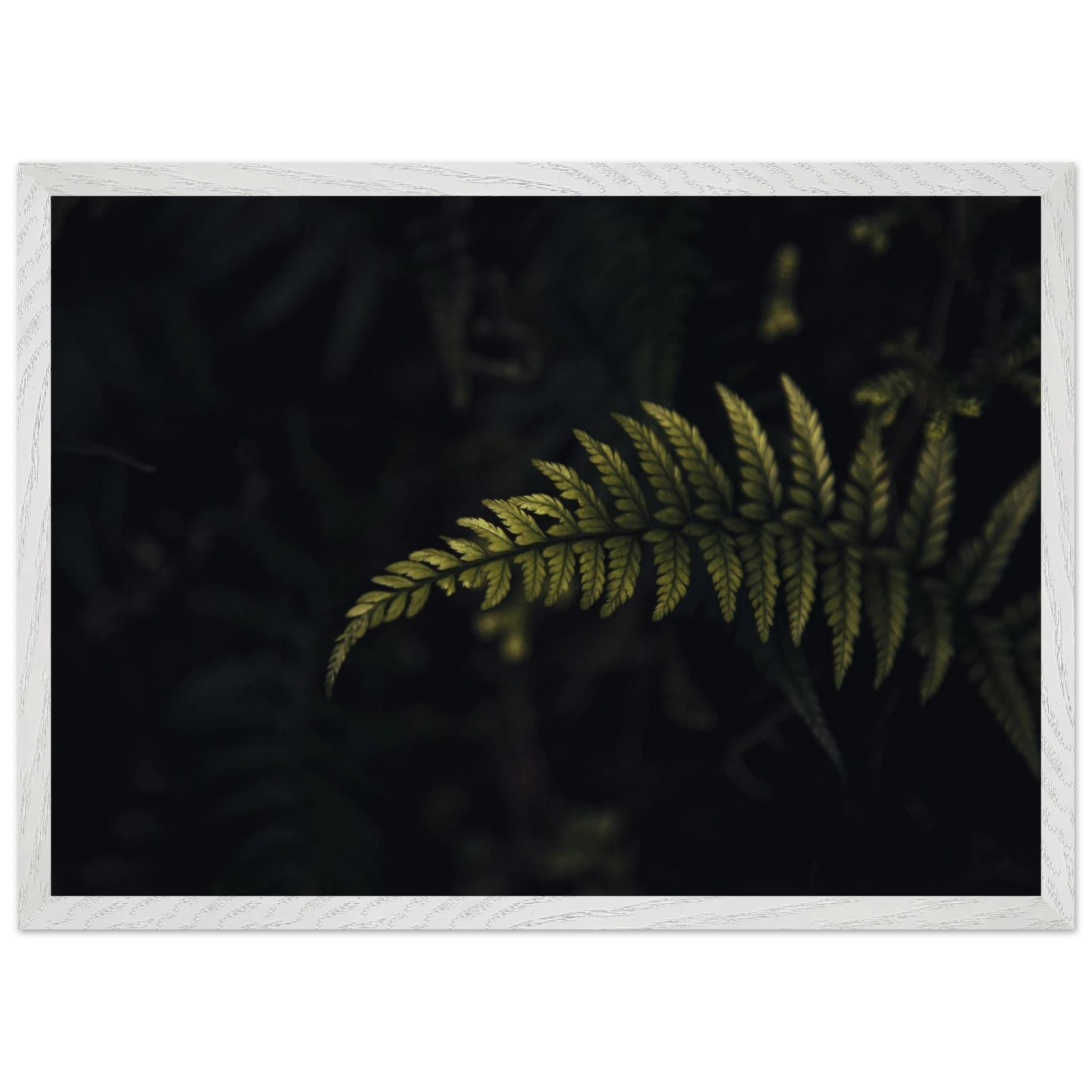 81db034a-b982-4427-a876-369039c368ef