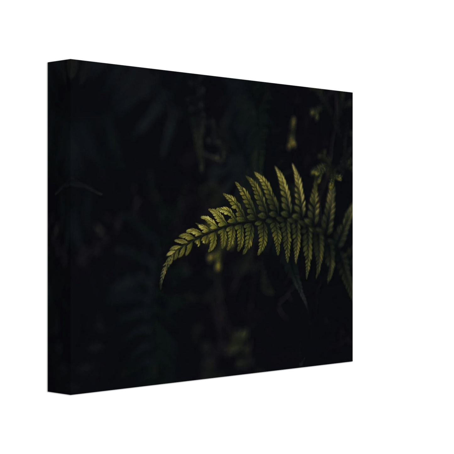 828220d9-907c-4384-8ca7-f9b953c08701