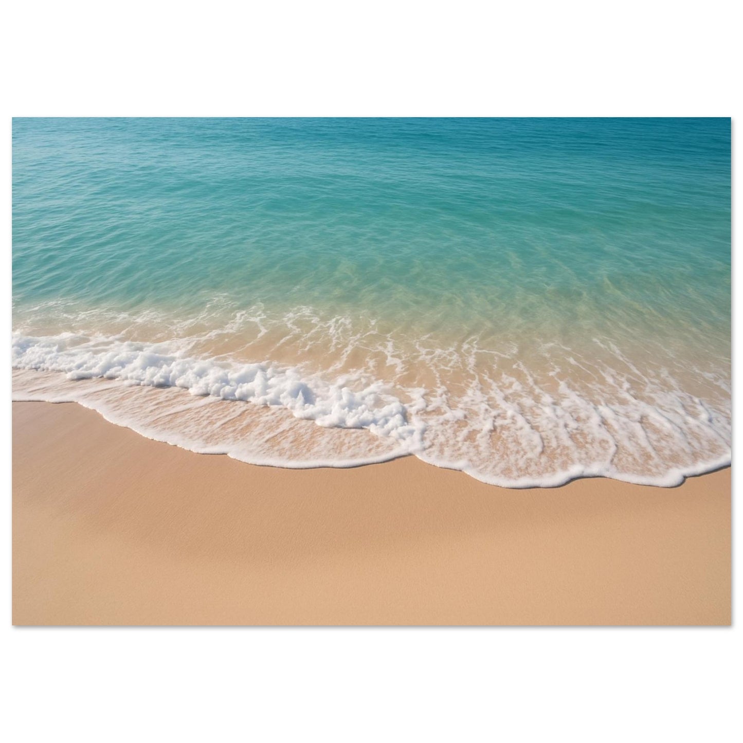 856c33ec-ddf4-4554-bef5-1bc62b90f4c0