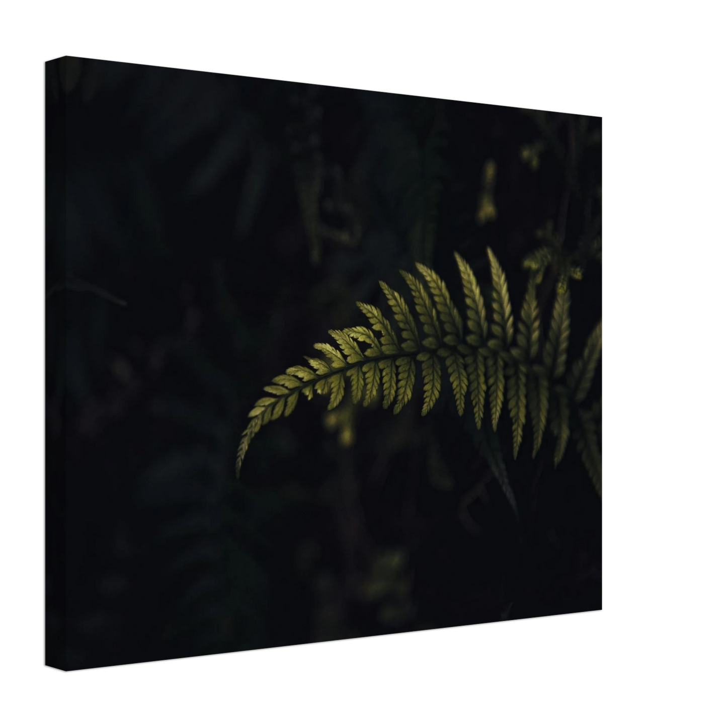 8693c752-9c83-4e1f-95cd-78bb81fc2c38