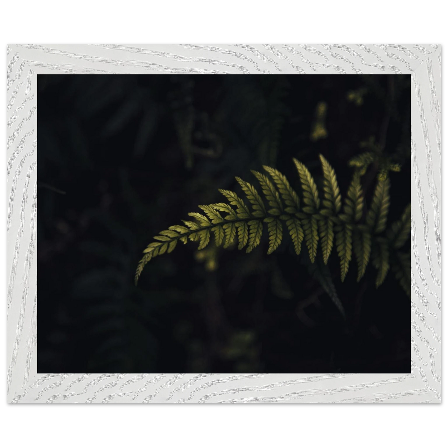 8965fe8b-abb0-4567-9fff-f9602a5a3d07