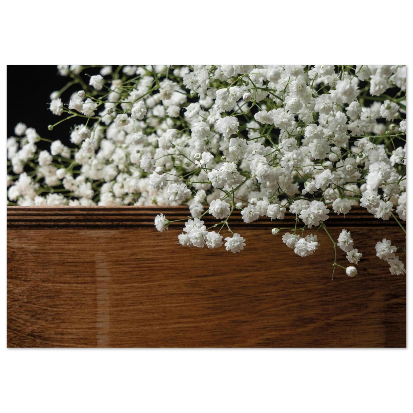 89e708e5-3690-43f4-a8a6-60fb6778a9bf