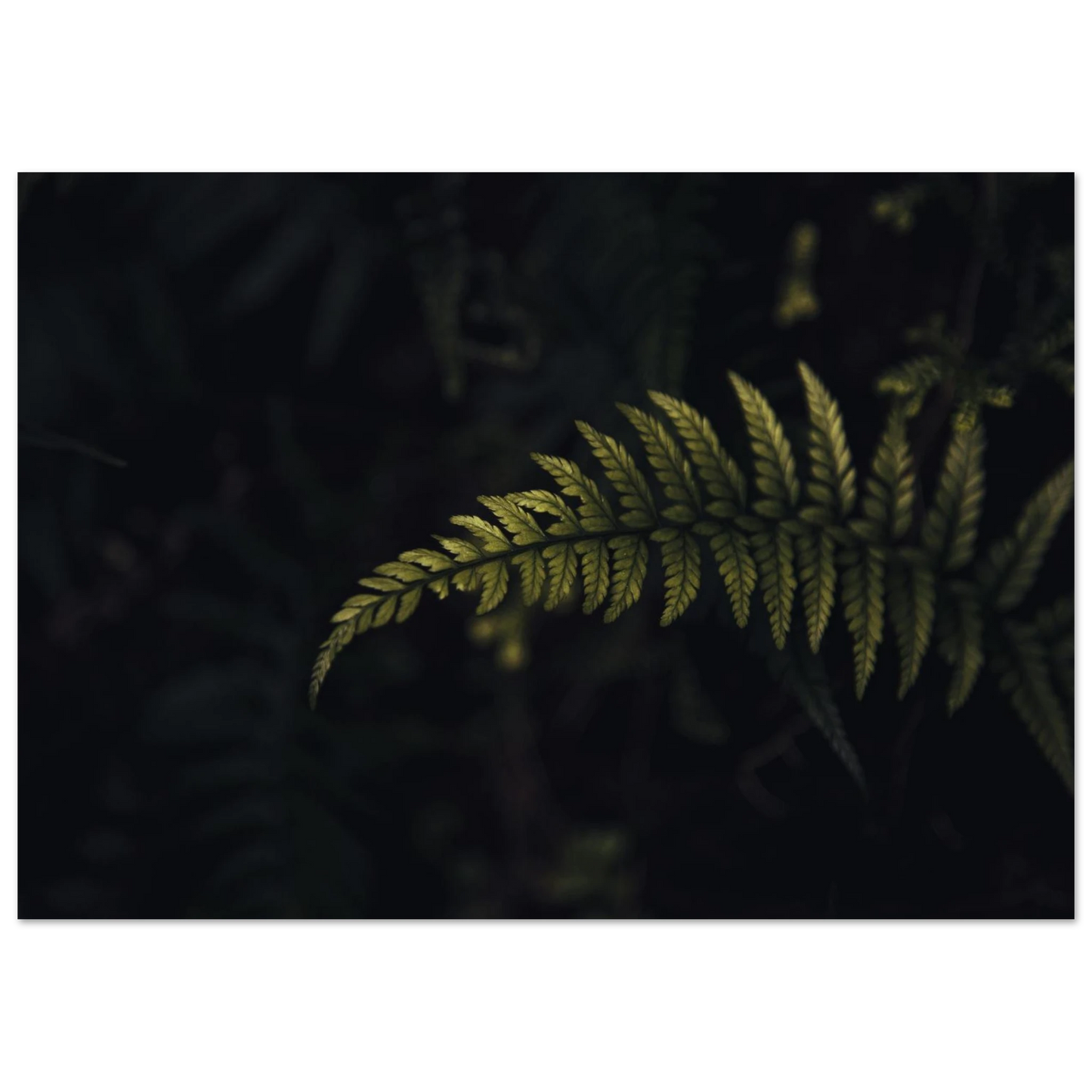 8bc1702e-45bf-4228-a601-9e59c9c120d4