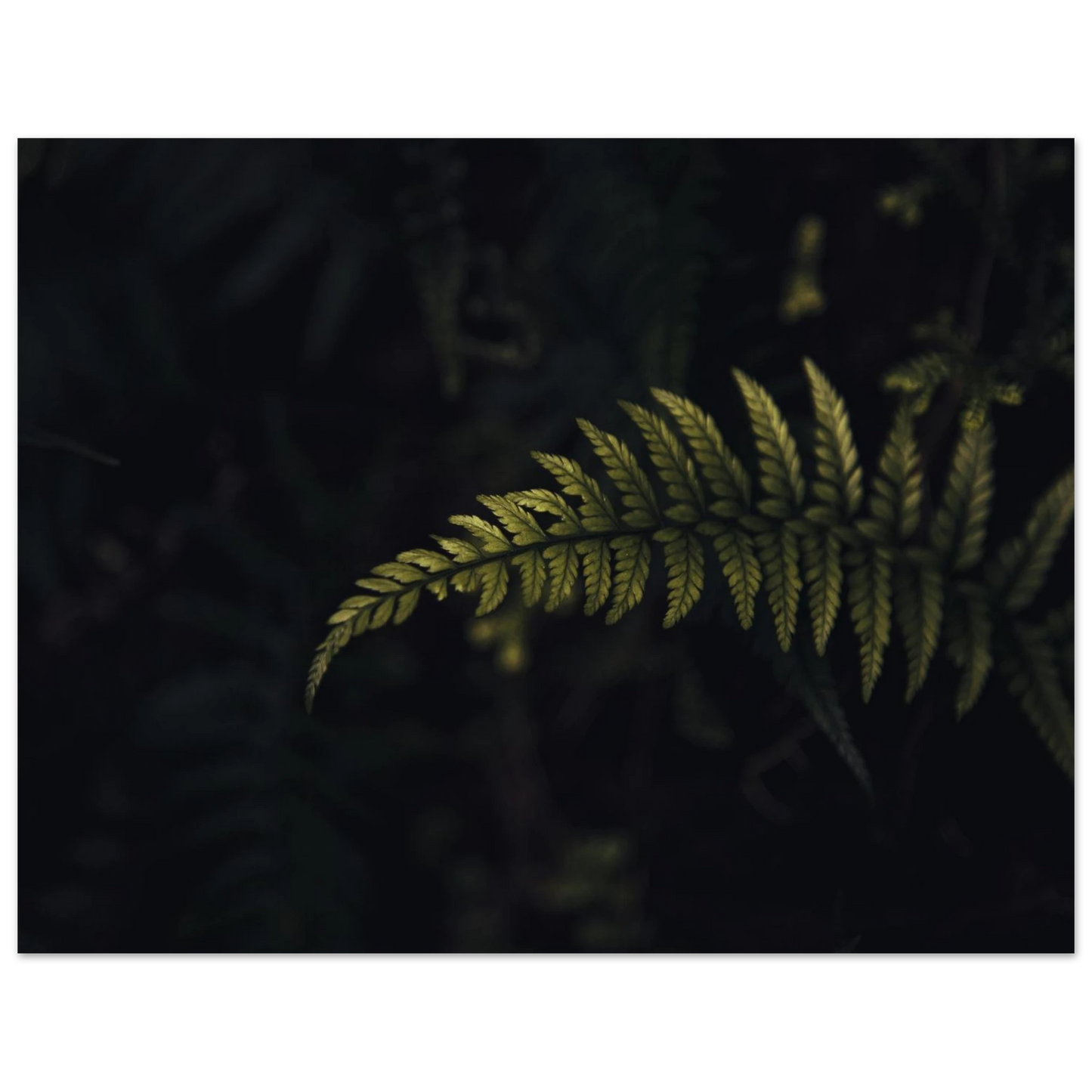 8d1f2c80-dd93-441f-b983-c6dfdd0a84df