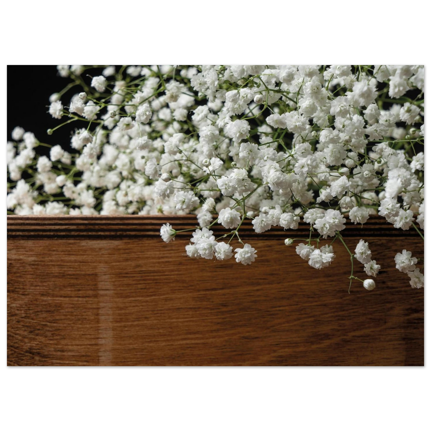 982621fa-498c-4f1d-8cfb-91d359d90110