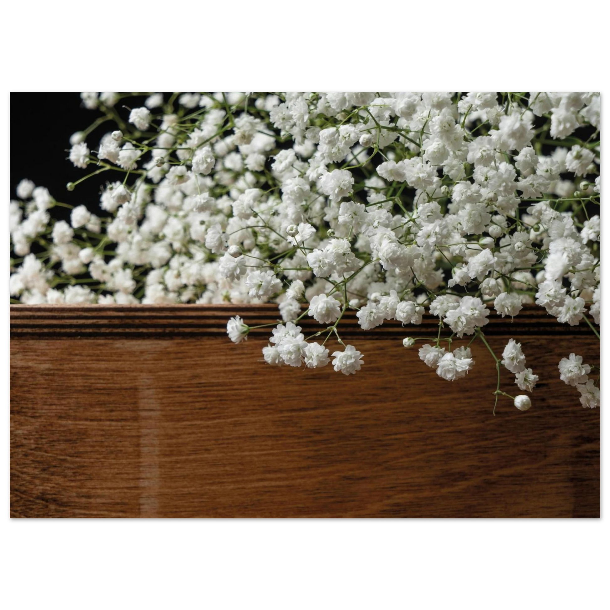 982621fa-498c-4f1d-8cfb-91d359d90110